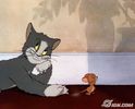 Tom si Jerry