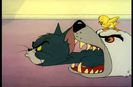 Tom si Jerry