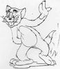 Tom si Jerry