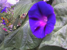 23-07-13_1101