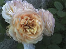 23-07-13_0815