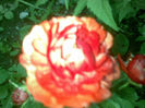 23072013(016)
