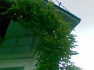 23072013(035)
