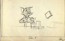 Tom si Jerry