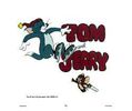 Tom si Jerry Comedie Show