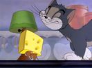 Tom si Jerry
