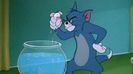 Tom si Jerry
