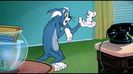 Tom si Jerry