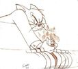 Tom si Jerry