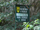 DSCN6074