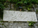 DSCN6083