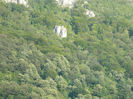 DSCN6113