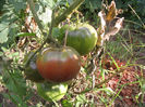 black krim