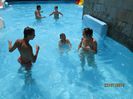 IMG_6346