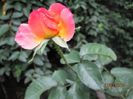 IMG_6197