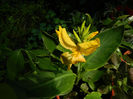 DSCN5794