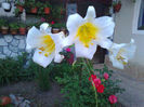 Photo0162