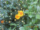 DSCN3893