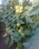 Copy of Fotogr.0233