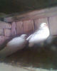 Fotogr.0202