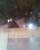 Fotogr.0216