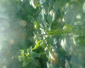 Fotogr.0231