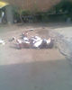 Fotogr.0243