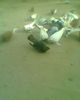 Fotogr.0245