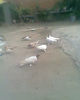 Fotogr.0246