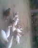 Fotogr.0248