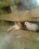 Fotogr.0249