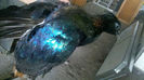 2013-07-24_16-07-46_491