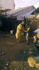2013-07-23_19-25-25_367