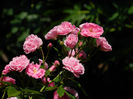 DSCN8080