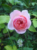 Abraham Darby