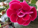 DSCF0797