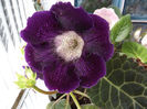 DSCF0721