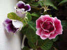 DSCF0821