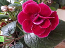 DSCF0798