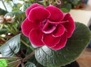 DSCF0801
