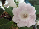 DSCF0802