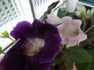 DSCF0803