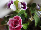DSCF0822