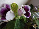DSCF0823