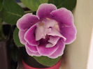 DSCF0878