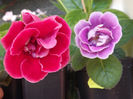 DSCF0886