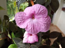 DSCF0695