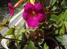 DSCF0701