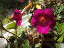DSCF0706