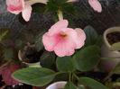 DSCF0709
